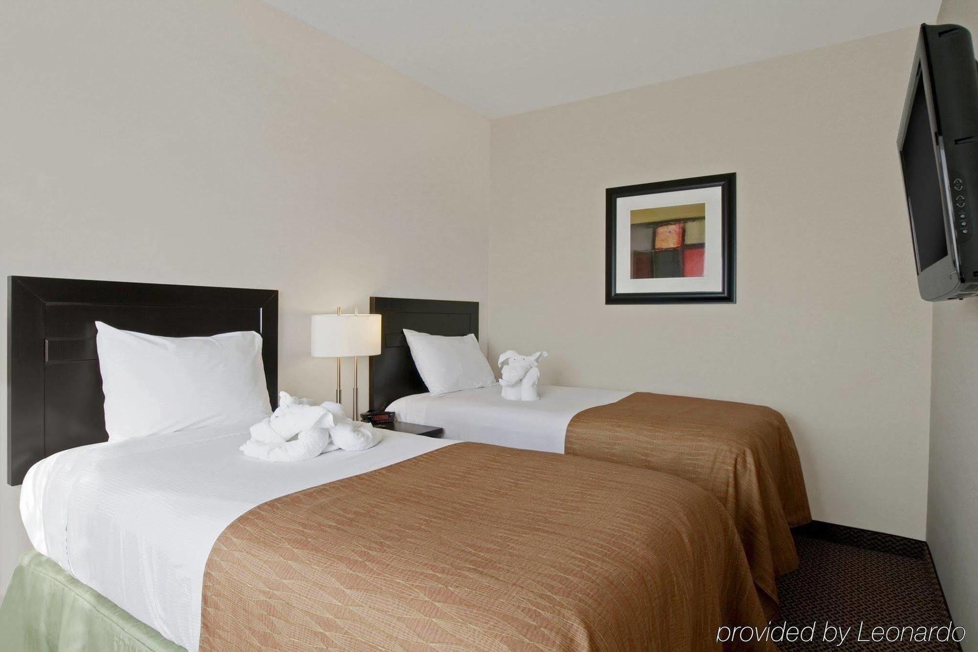 Best Western Wainwright Inn & Suites Habitación foto